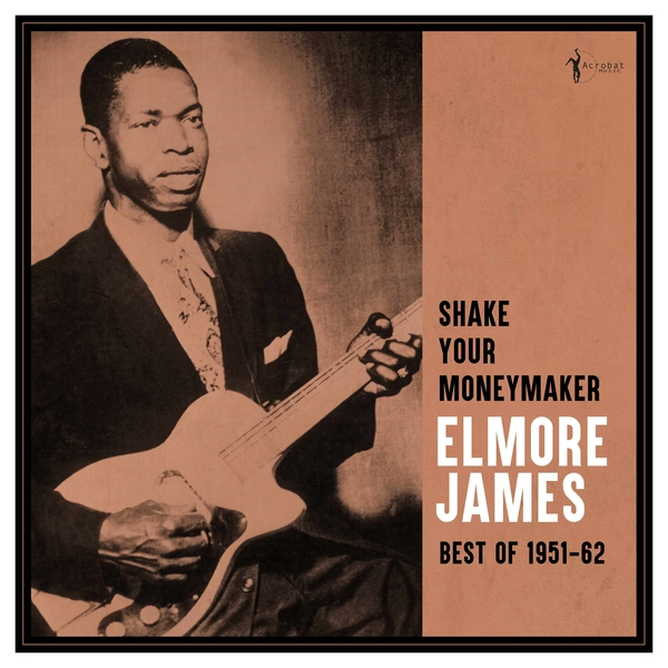 Album cover featuring a musician playing guitar with text 'Shake Your Moneymaker Elmore James Best of 1951-62' on a brown background.