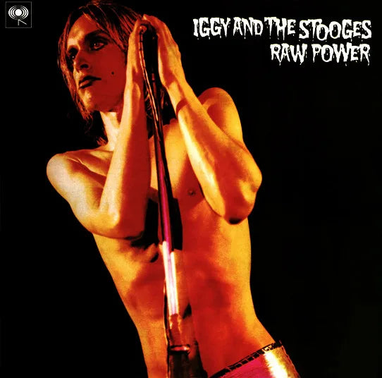 Iggy And The Stooges – Raw Power 2x LP + Booklet, collectible punk rock vinyl record set