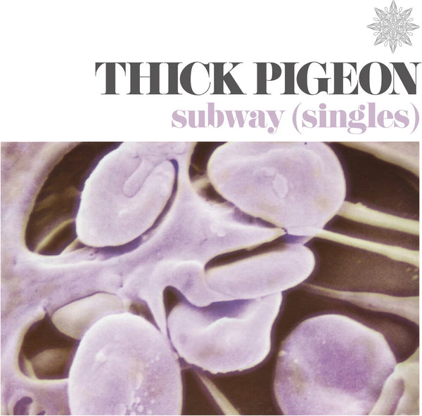 THICK PIGEON – Subway (Singles) Violet Coloured LP, Les Disques du Crépuscule, post-punk new wave collectible vinyl record