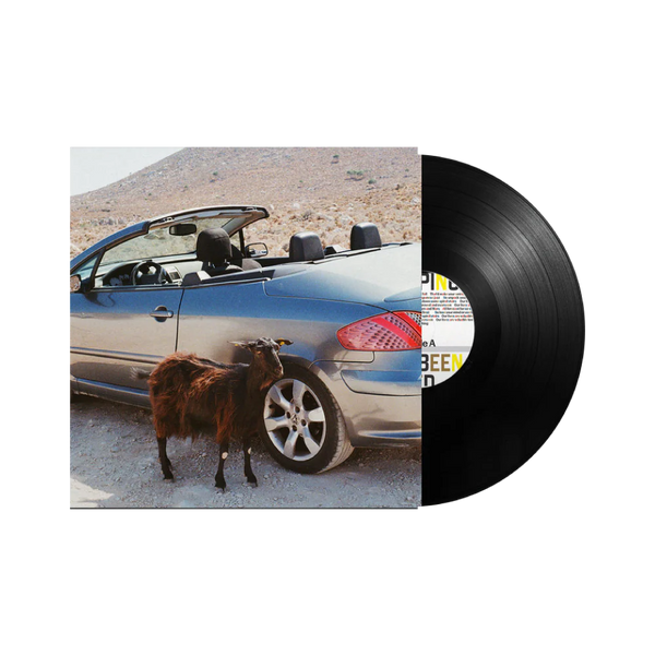 EXEK - Prove The Mountains Move, Vinyl LP