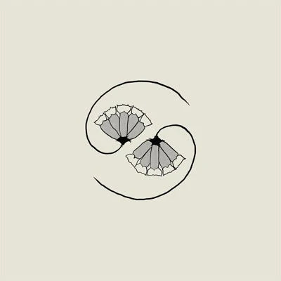 Godspeed You! Black Emperor - G_od's Pee At State's, LP+ 10" Vinyl