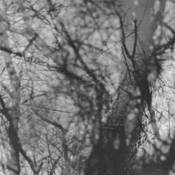 Grouper - Way Their Crept, Vinyl LP