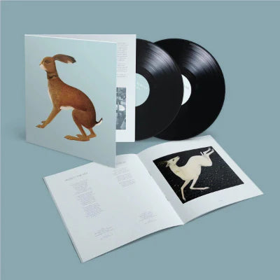 Vashti Bunyan - Lookaftering (20th Anniversary), 2x Vinyl LP