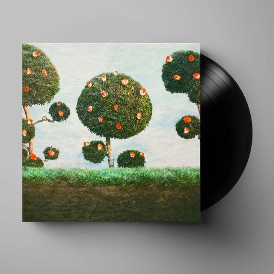 Midnight Sister Painting The Roses Vinyl LP front cover