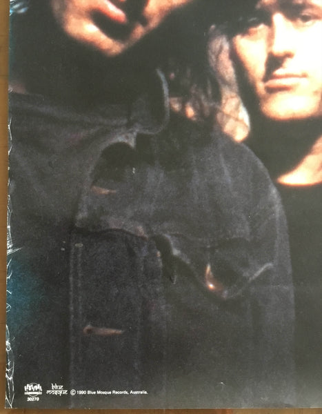 Died Pretty, Ron Peno, Every Brilliant Eye, orig 1990 album launch poster