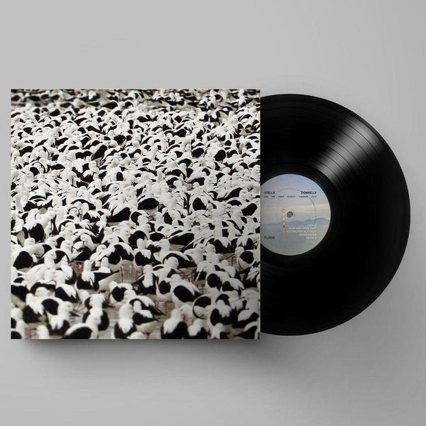 Flood vinyl by Stella Donnelly, indie rock collectible vinyl, cover showing a large flock of water birds