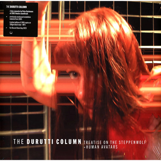 Treatise On The Steppenwolf + Human Avatars RSD vinyl by The Durutti Column, ambient post-punk LP  record cover