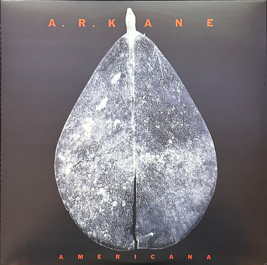 Album cover of Americana vinyl by A.R. Kane