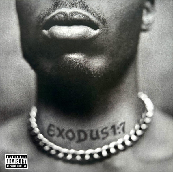 DMX – Exodus, Vinyl LP