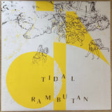 Tidal / Rambutan – Sounds Of The Future / Trapdoor To Infinity, Ltd. Ed. Vinyl LP