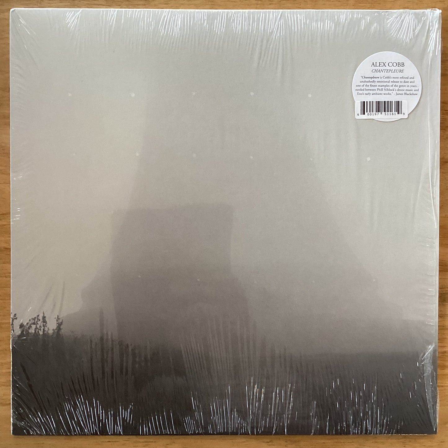 Alex Cobb - Chantepleure, Vinyl LP, U.S 2015 Students of Decay SOD113