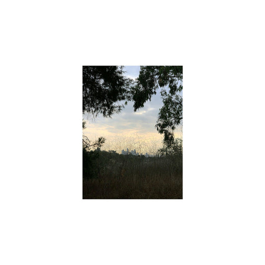 Jon Porras – Arroyo, Clear Vinyl LP