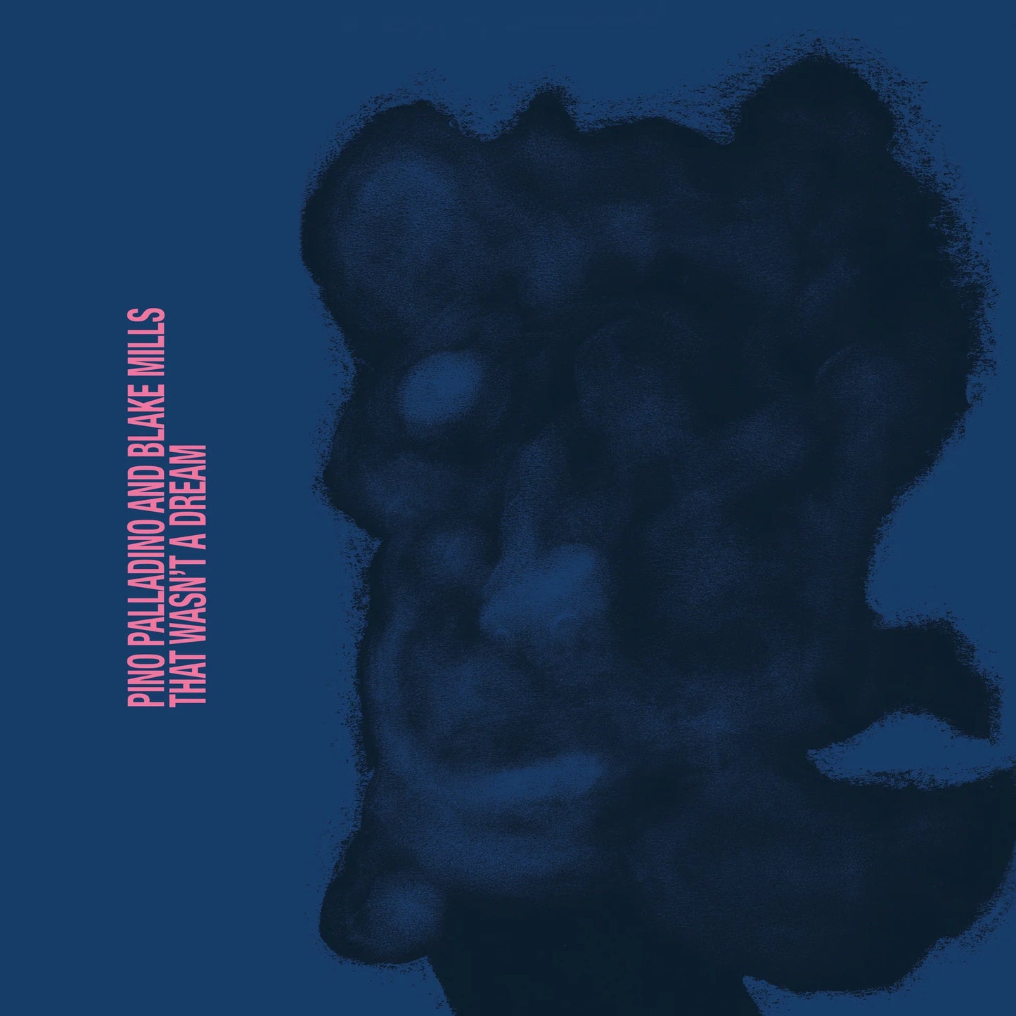 Pino Palladino And Blake Mills – That Wasn't A Dream, Vinyl LP