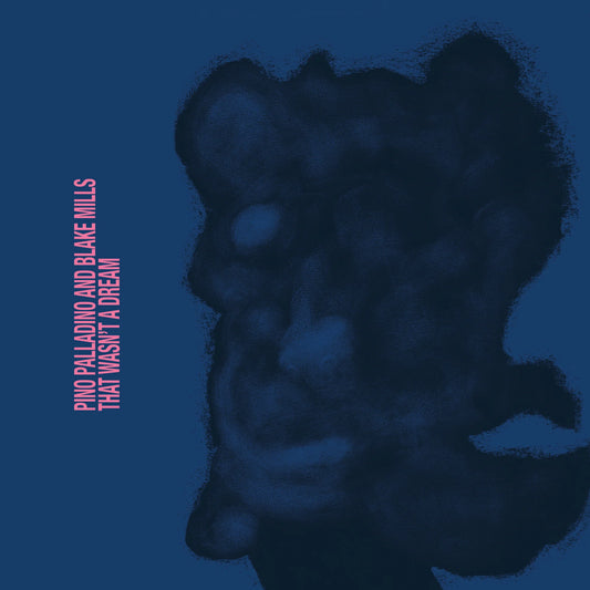 Pino Palladino And Blake Mills – That Wasn't A Dream, Vinyl LP