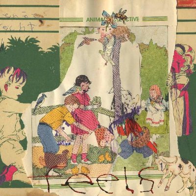 Feels by Animal Collective, psych-pop collectible vinyl album cover art