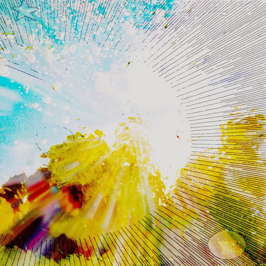 cover art for Slipper Imp & Shakaerator vinyl LP by Babe Rainbow