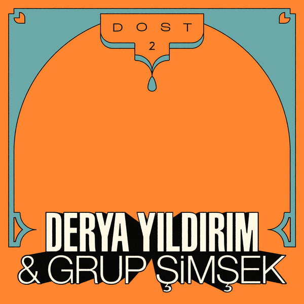 cover art for Dost 2 vinyl LP by Derya Yıldırım & Grup Simsek