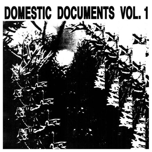 Various Artists - Domestic Documents Vol. 1 (Butter Sessions / Noise In My Head), 2x Vinyl LP