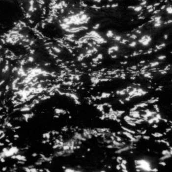 Grouper - AIA: Dream Loss, Vinyl LP