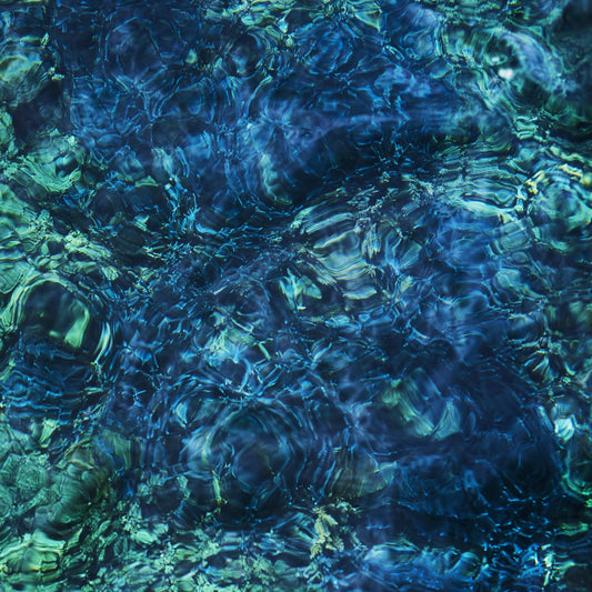 cover art for Luminescent Creatures vinyl LP by Ichiko Aoba