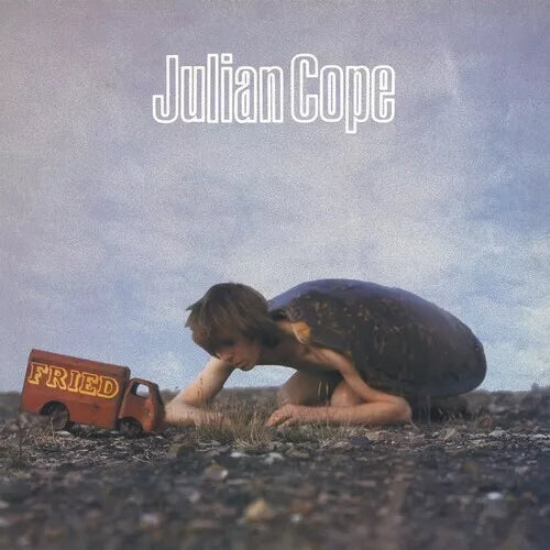 cover art of Fried vinyl LP by Julian Cope