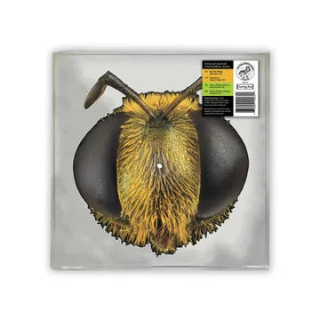King Gizzard & The Lizard Wizard - Big Fig Wasp, 7" Picture Disc Vinyl (RSD 2026)