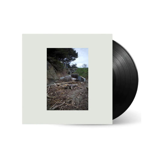 Five Easy Hot Dogs vinyl by Mac DeMarco album cover art