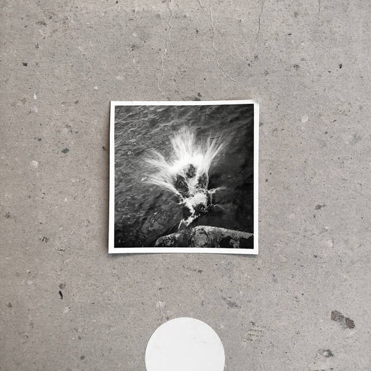 Nils Frahm - Empty, Vinyl LP