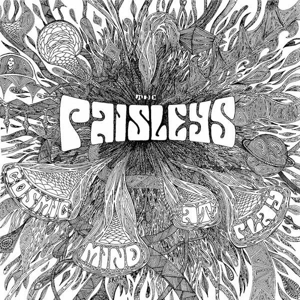 The Paisleys - Cosmic Mind At Play, Vinyl LP