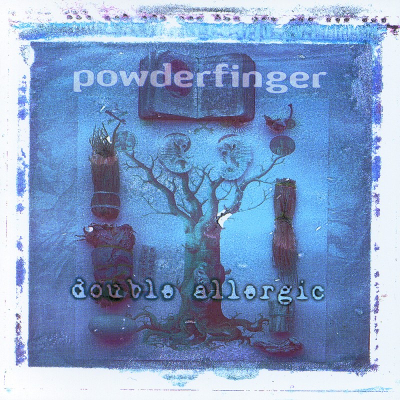 A vinyl LP cover of Powderfinger's 'Double Allergic' album featuring a blurred image of a tree with decorations and the band's name.
