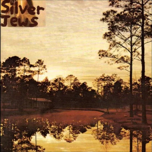 Silver Jews – Starlite Walker, Vinyl LP