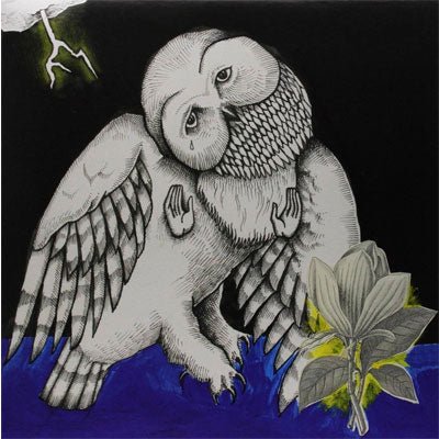 Songs: Ohia - Magnolia Electric Co. (10th Anniversary), 2x Vinyl LP