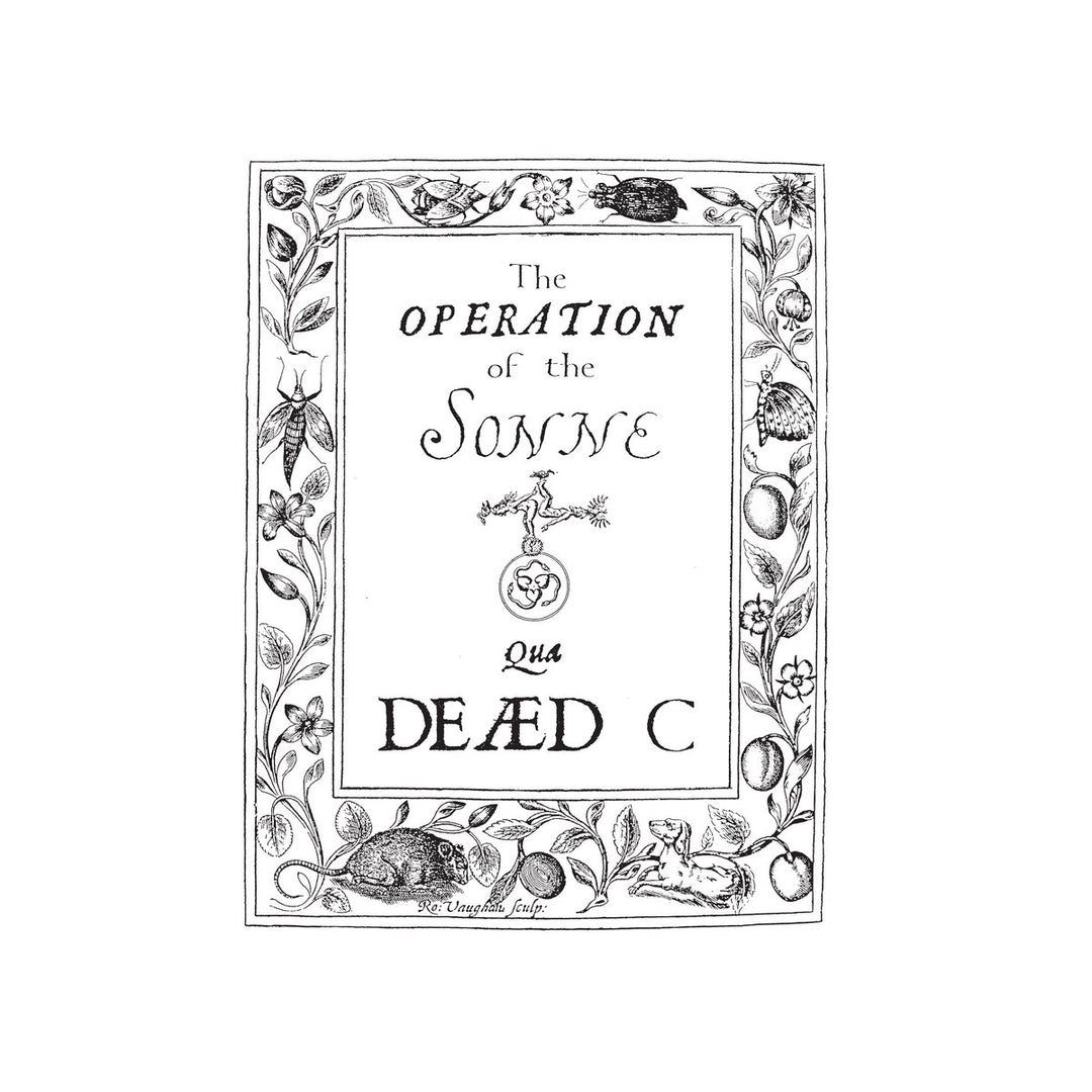 The Operation Of The Sonne vinyl by The Dead C album cover art