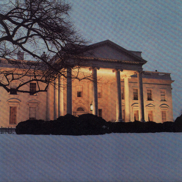 White House double vinyl by The Dead C album cover art