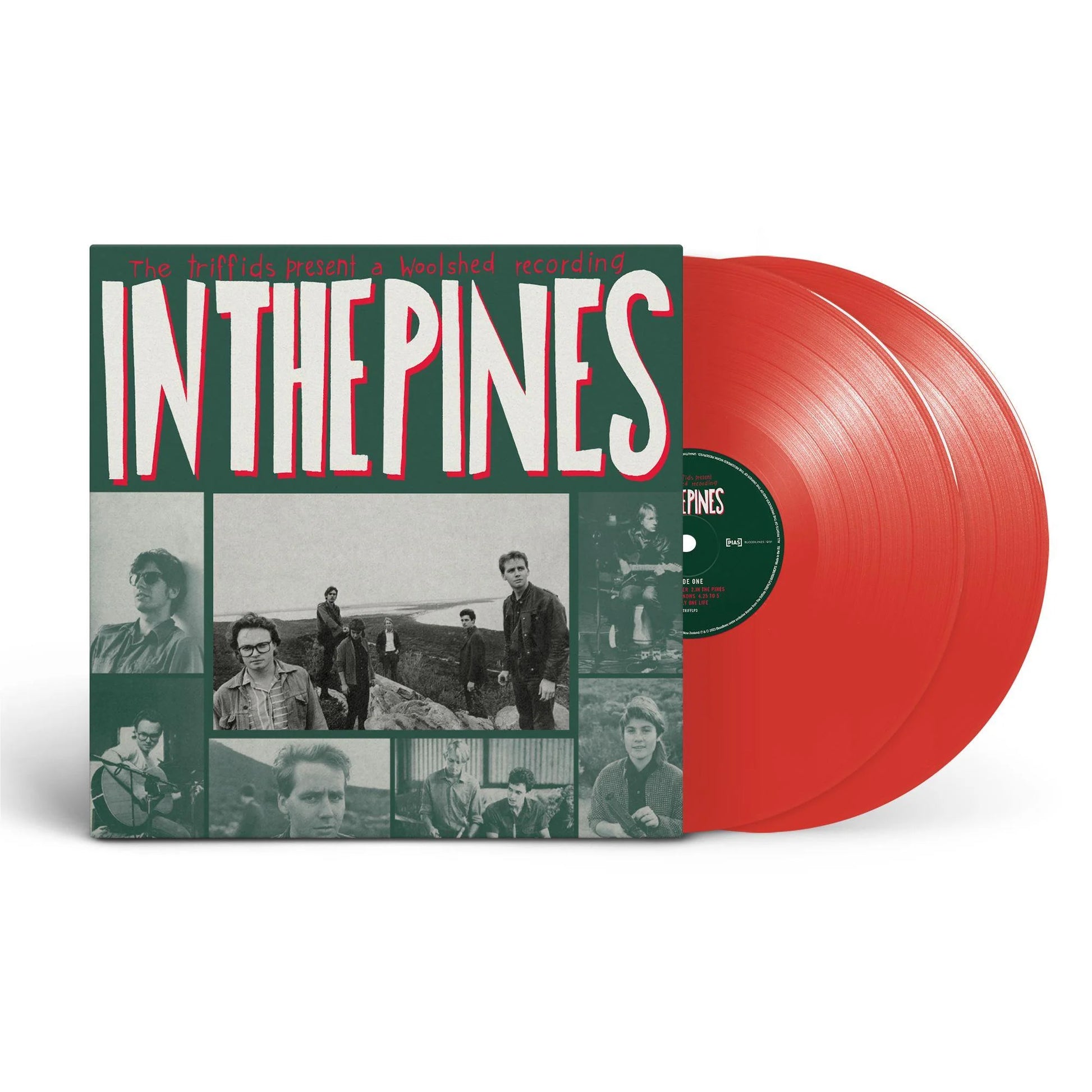 cover art of In The Pines vinyl by The Triffids