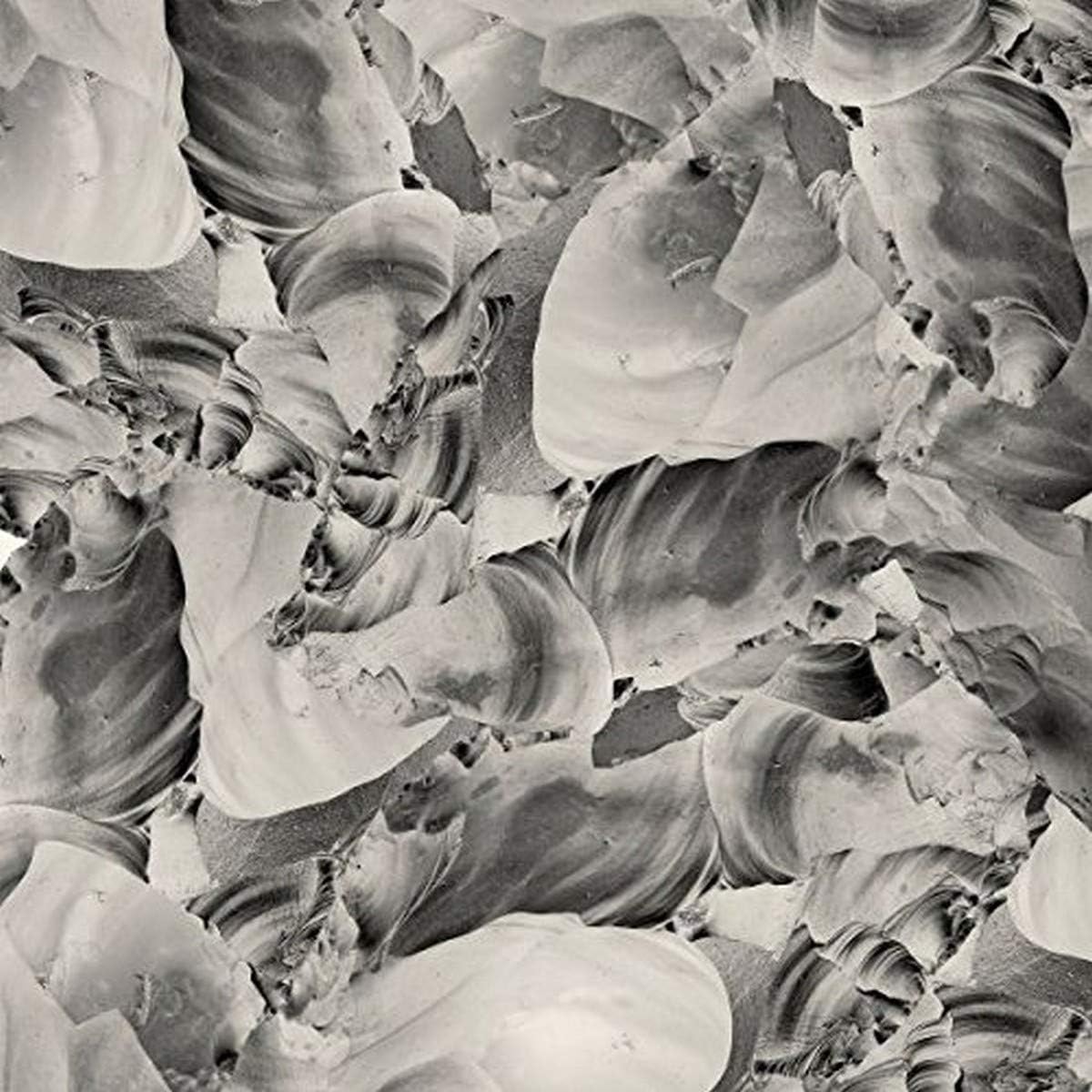 Thrupence - Ideas Of Aesthetics, Vinyl LP Thrupence - Ideas Of Aesthetics, Vinyl LP