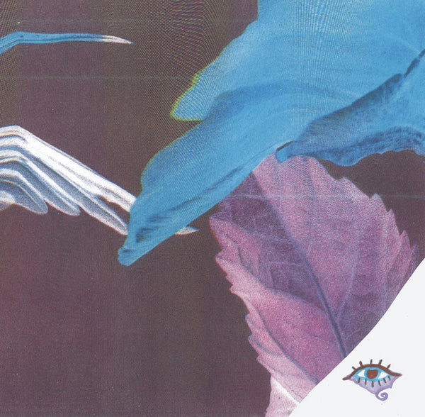 Troth - Forget The Curse, Vinyl LP