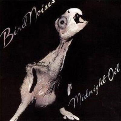 Midnight Oil, "Bird Noises"