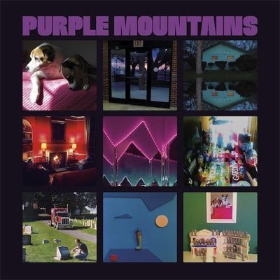 Self-Titled vinyl LP by Purple Mountains, indie rock; moody introspective album artwork