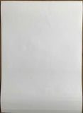 Scientists, "Blood Red River 1982-1984", Orig Compilation Album Promo Poster, Citadel Records