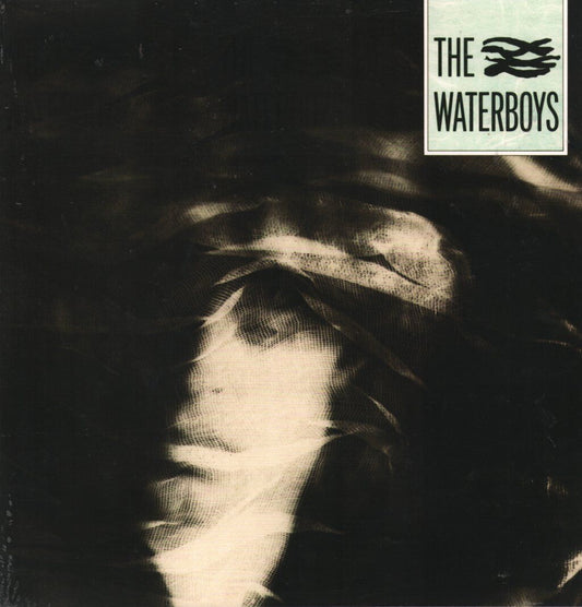 Self-Titled vinyl by The Waterboys, folk rock collectible vinyl, abstract cover with a blurred portrait photo