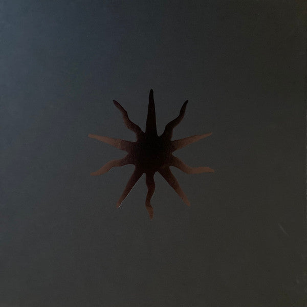 The World Ended A Long Time Ago 5x LP vinyl box by This Immortal Coil, dark ambient collectible vinyl, moody abstract artwork