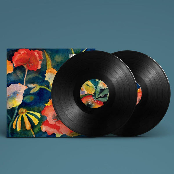 Adrianne Lenker - Songs and Instrumentals, 2x Vinyl LP