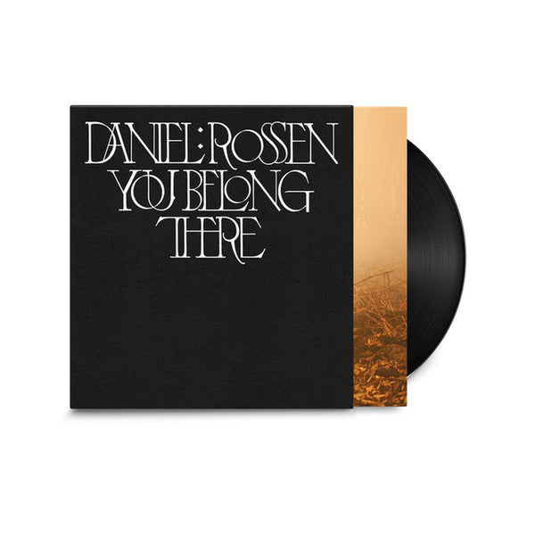 Daniel Rossen You Belong There vinyl LP, abstract landscape cover, indie folk album cover