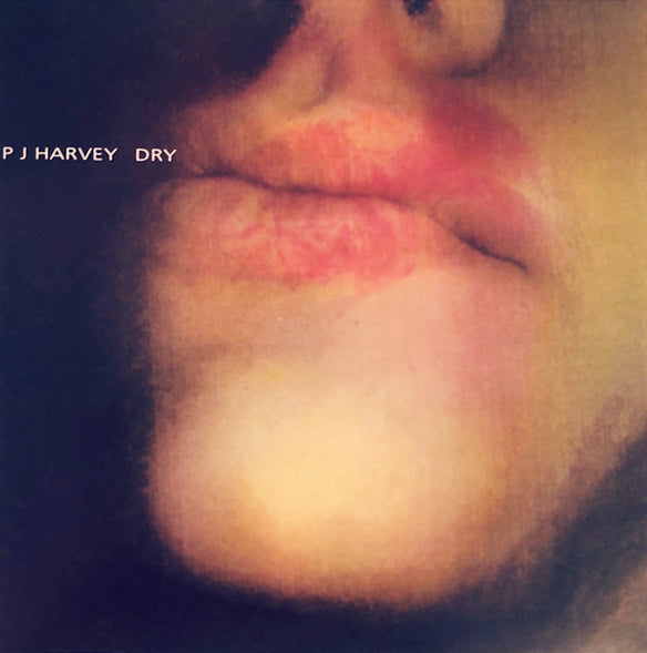 This image presents the album cover for PJ Harvey's debut studio album, "Dry." The artwork is enigmatic and abstract, featuring a blurred, close-up photograph of Harveys lips and cheeks, partially obscured by a shadow.